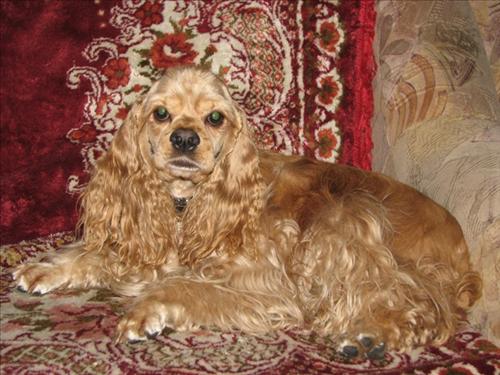 dbac7ce4-4c54-407b-9e66-e546e8703cc0